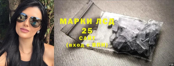 сатива Гусев