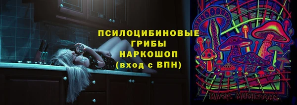 сатива Гусев