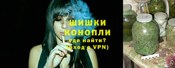 сатива Гусев
