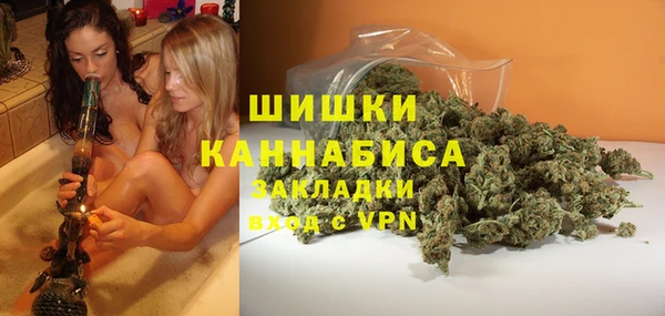 сатива Гусев