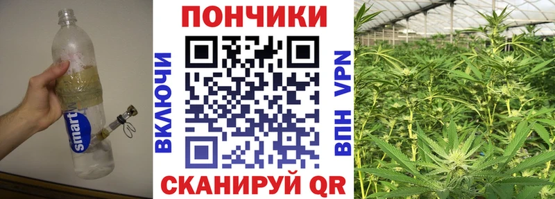 как найти   Кочубеевское  blacksprut ссылка  Марихуана индика 